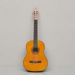 494250 Guitar